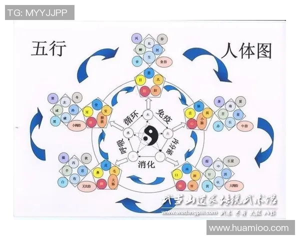 空手原生与萨迪斯的对决探讨武术哲学与实战技巧的深层次关系